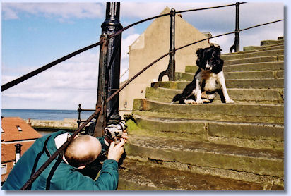 Always in front of the cameras!