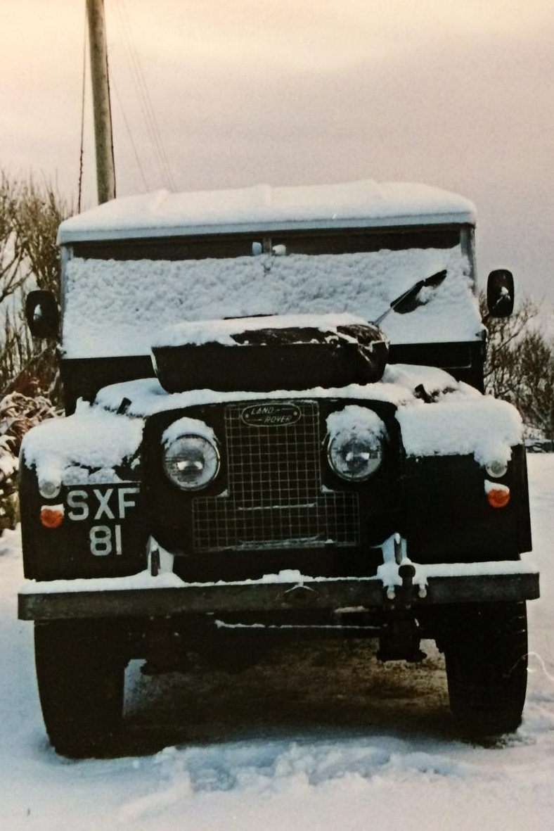 SXF81</a
